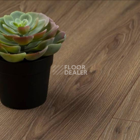 Kronopol Platinium Milo d3712 Орех Афина фото 2 | FLOORDEALER